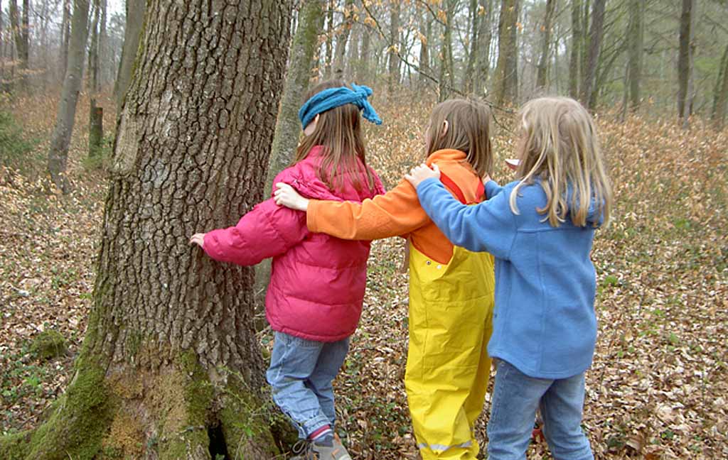 Kinder spielen ein Spiel, in dem sie die Waldbäume erkennen müssen. Sie sind im Wald