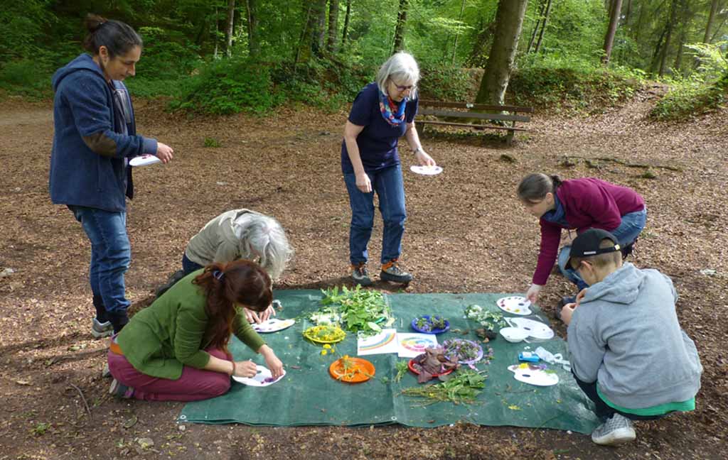 Pflanzen liegen schön geordnet auf einer Plane im Wald, drumherum sitzen/stehen Menschen.
