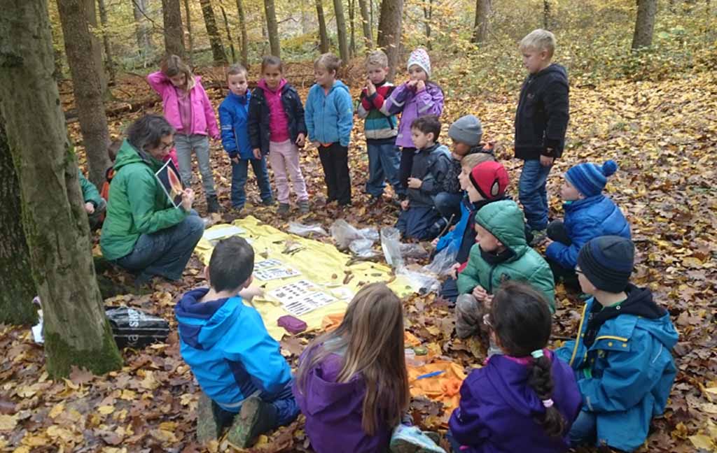 Kinder im Wald