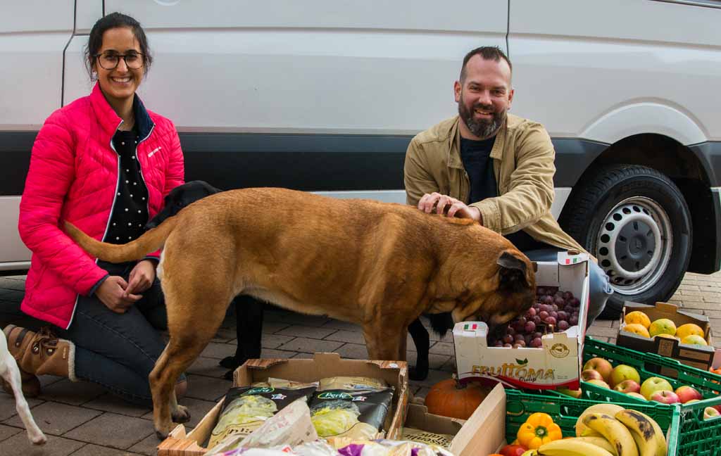 Foodangels und ein Hund