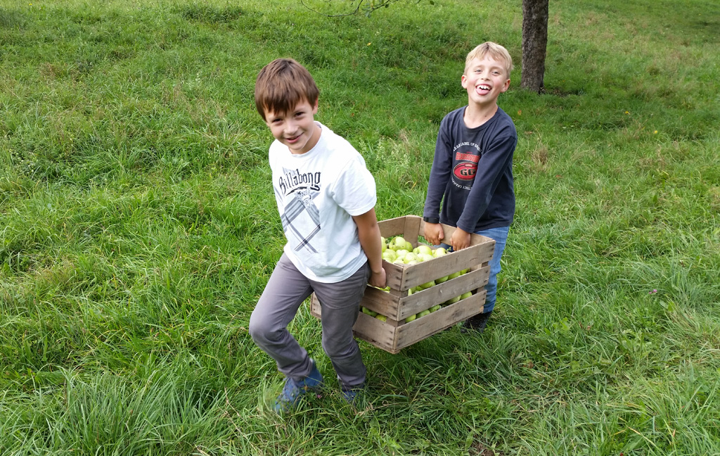 Zwei Kinder tragen eine Kiste Äpfel