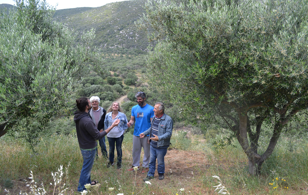 Felix Schröder spricht mit einer Gruppe von vier Personen