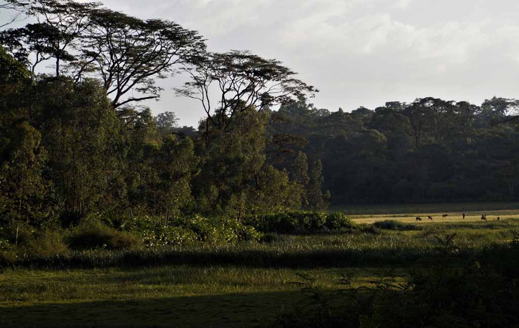 Landschaft in Äthiopien