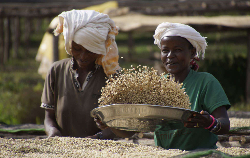 Arbeit mit Kaffeebohnen in Äthiopien
