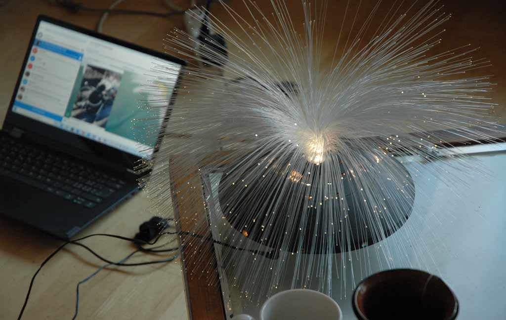 Korallenlampe