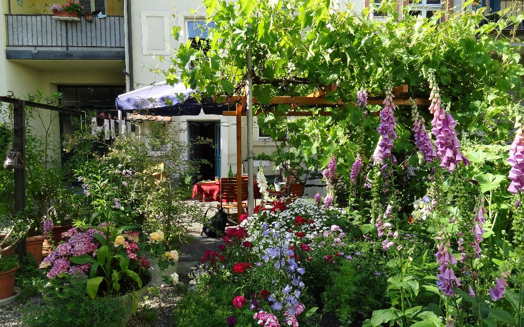 Pflanzen und Blumen in einem Hinterhof