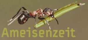 Logo Ameisenzeit