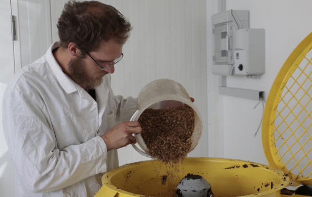 Arbeit der "Stadtpilze"