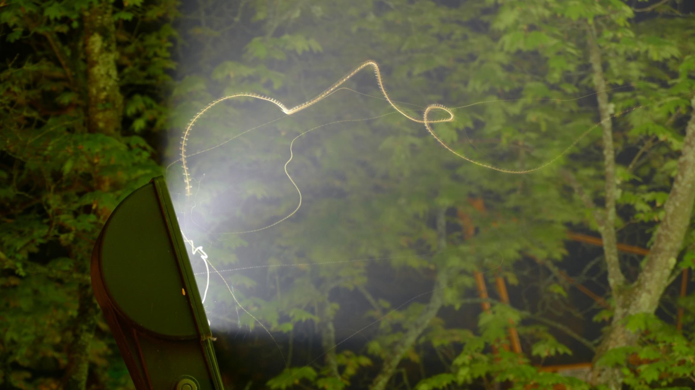 Flugbahnen von Insekten im Licht zeigen deren Orientierungslosigkeit.