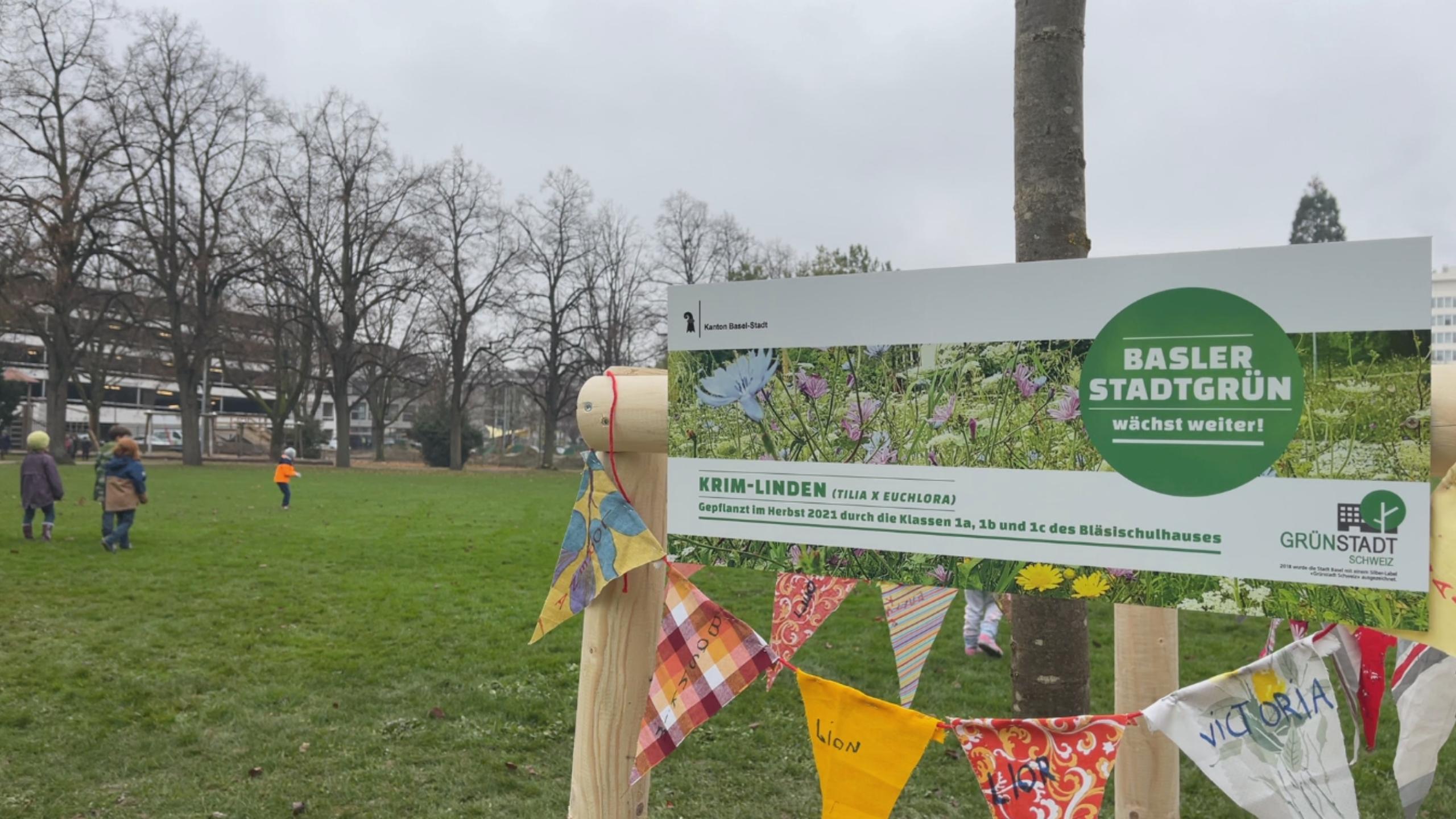 Bäume pflanzen in der Stadtgärtnerei Basel - Umwelt Basel