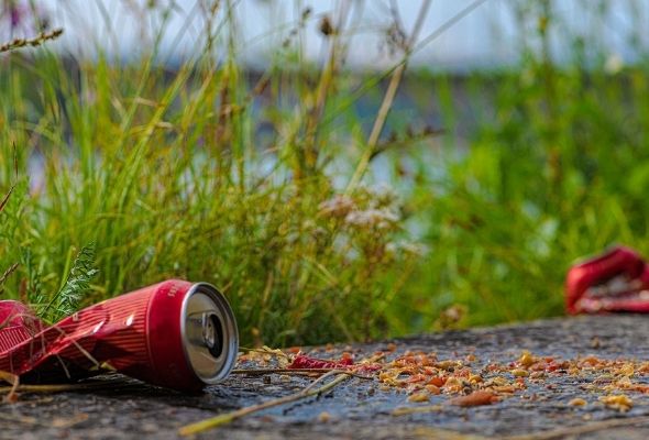 Littering am Rhein