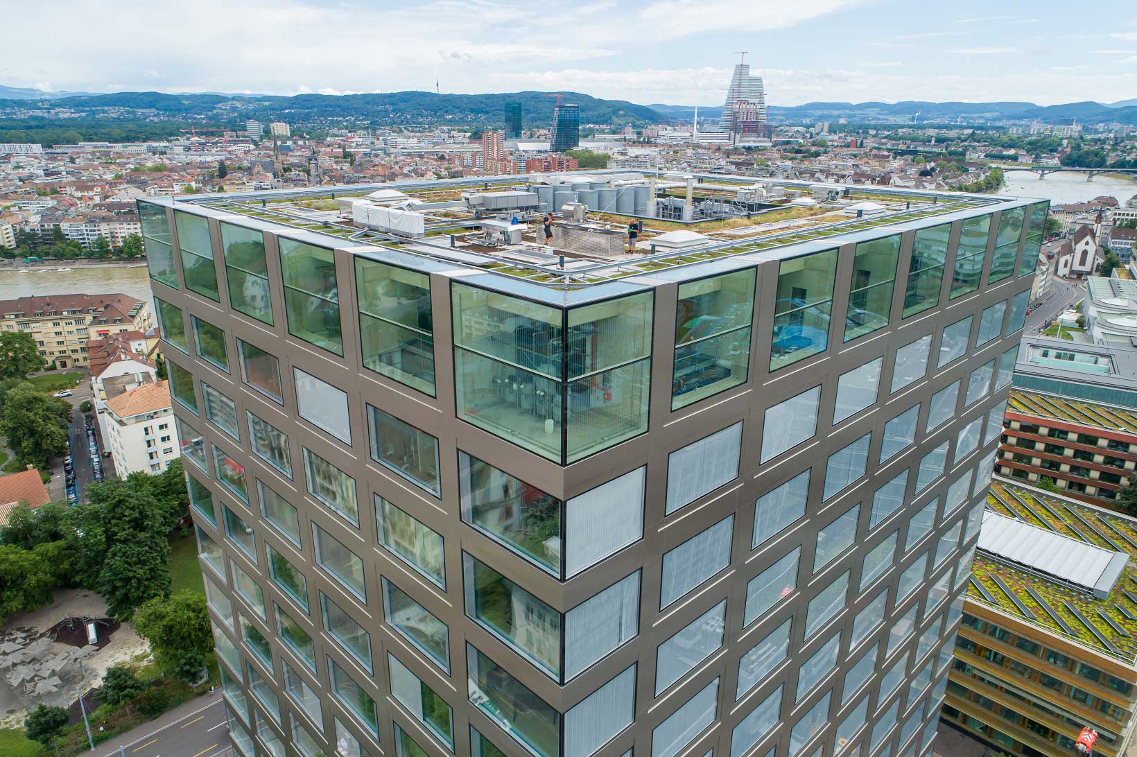 Dachbegrünung Umwelt Basel Marco Güntert