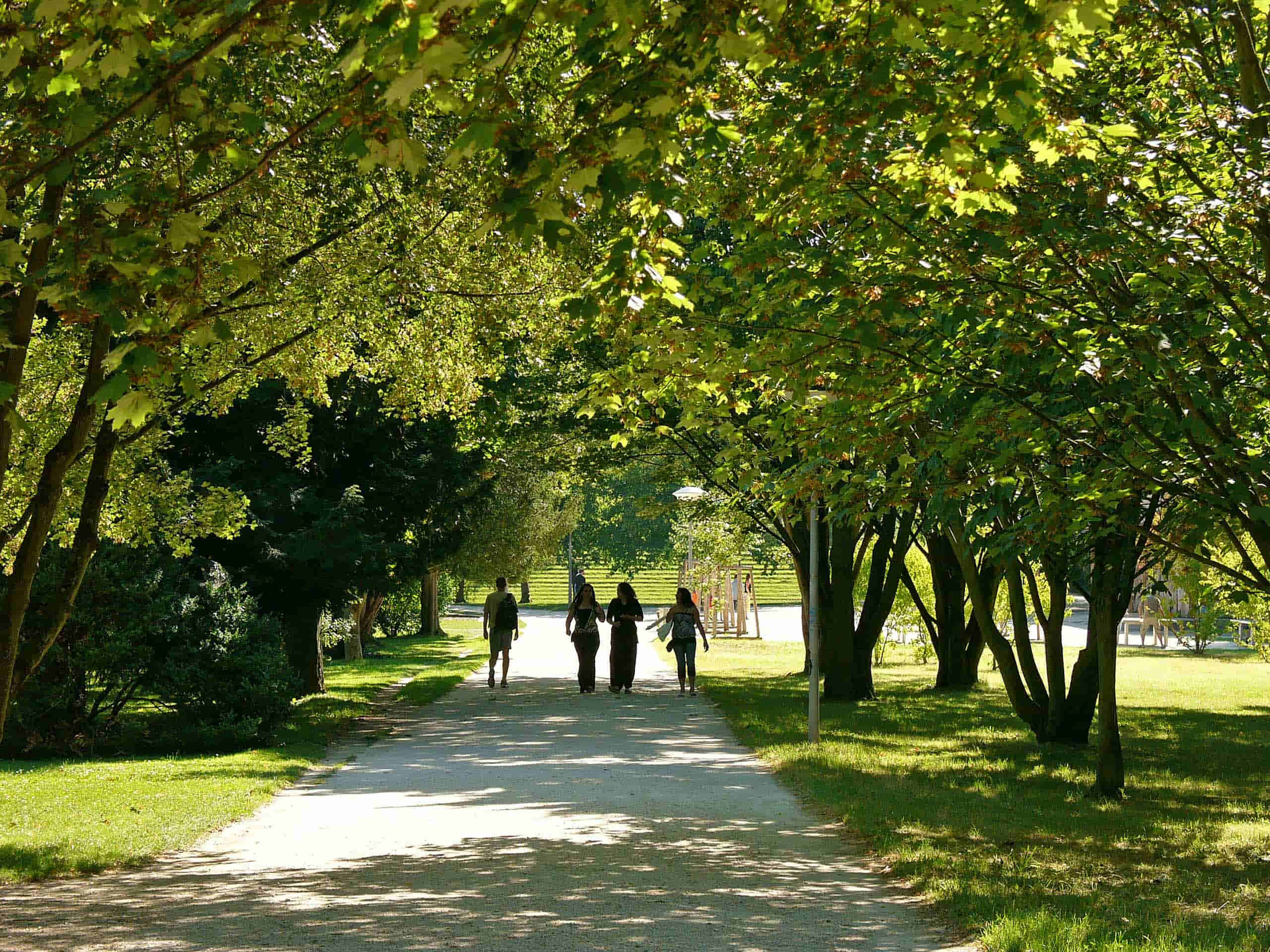 Pfad in einem Basler Park, links und rechts stehen Bäume