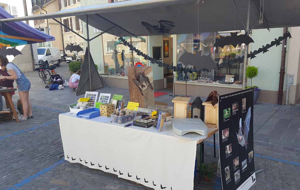 Fledermausstand beim Wildpflanzenmarkt 2018 in Laufen