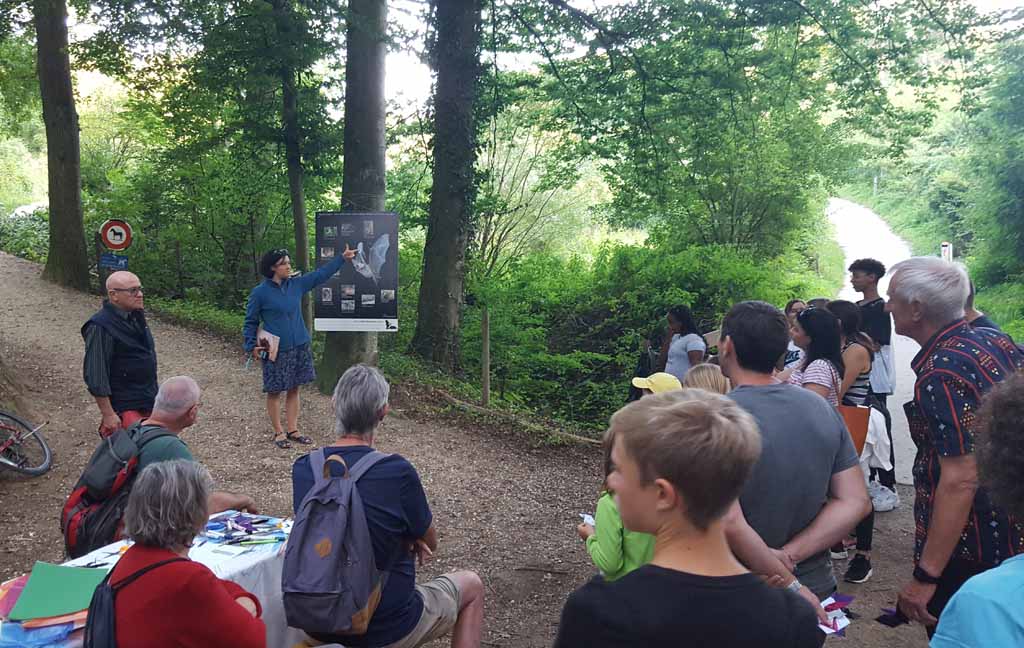 Internationale Fledermausnacht 2019 im Binninger Naturschutzgebiet Herzogenmatt.