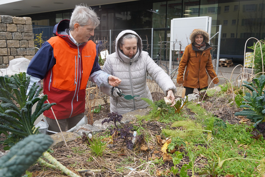 Drei Personen am gärtnern