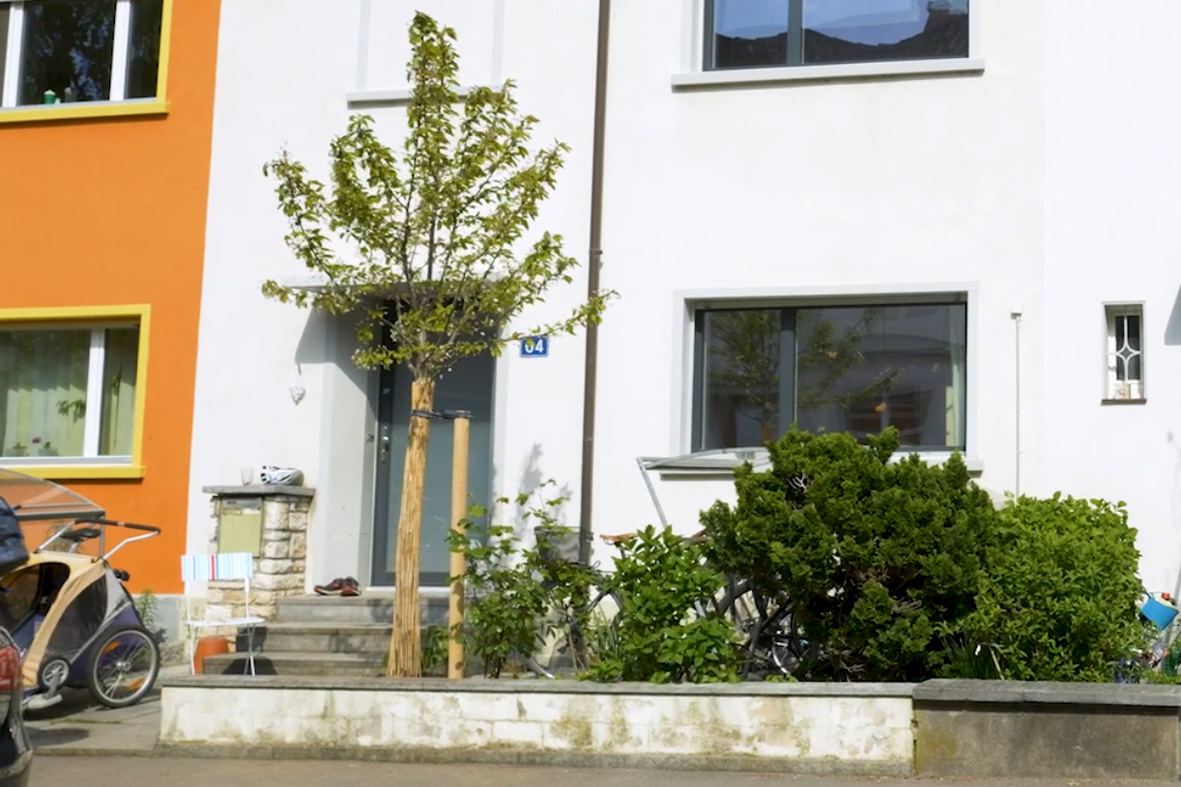 Haus mit frisch gepflanztem Baum