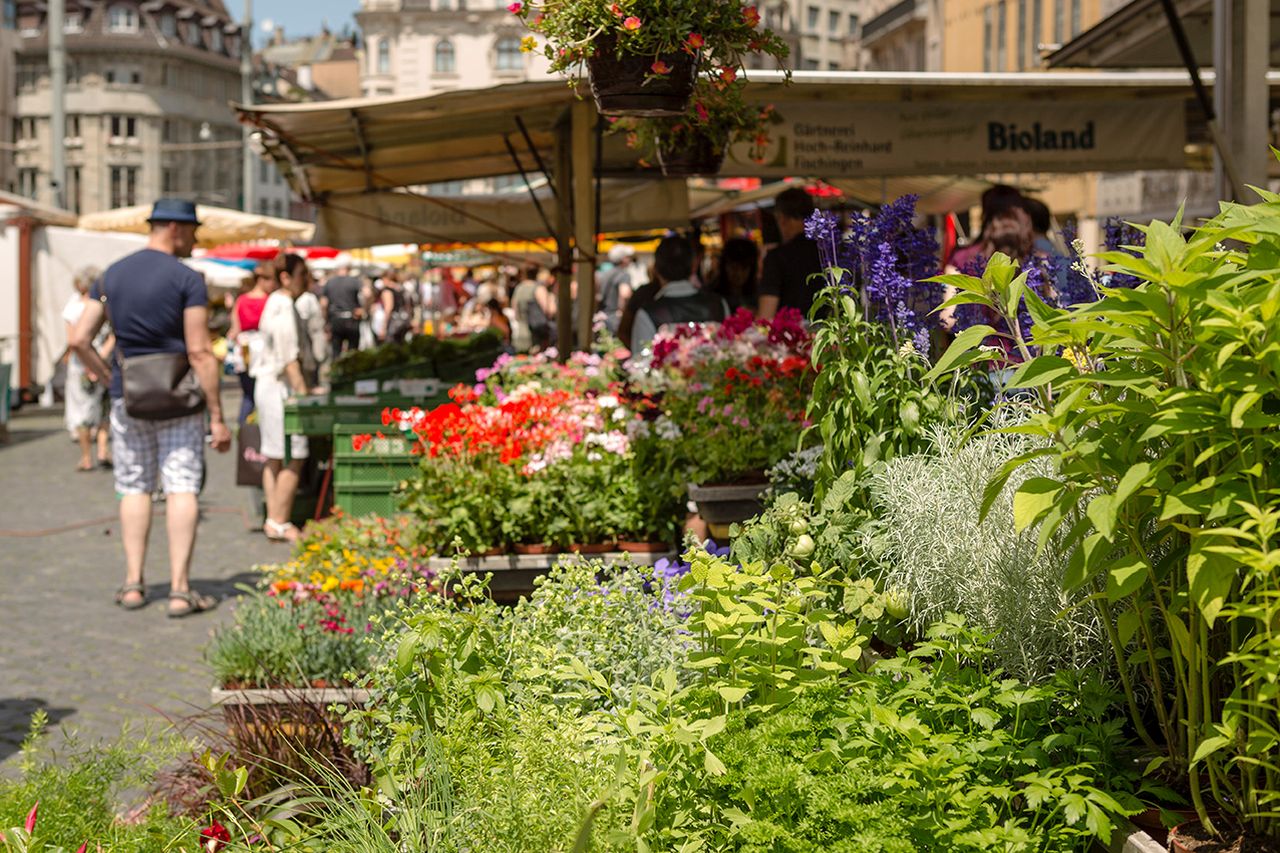 Marktstand mit Pflanzen für den Garten.