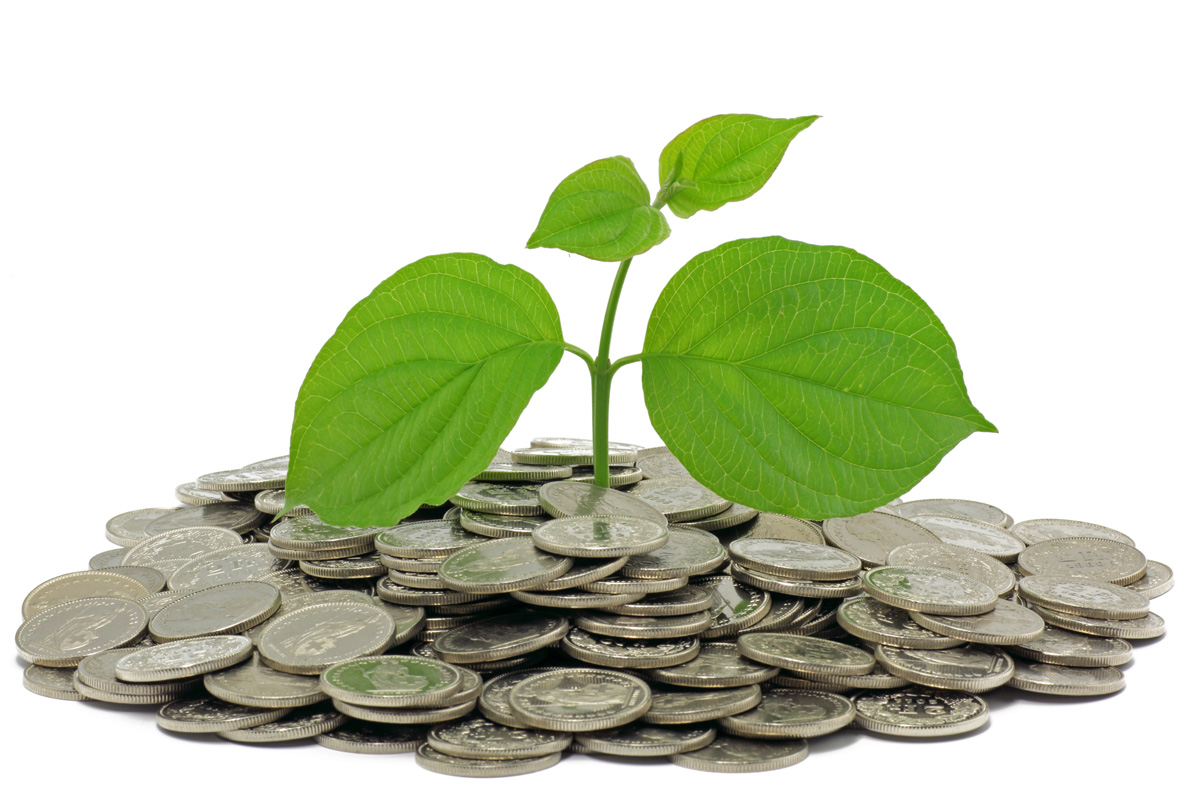Pflanze wächst aus einem Berg von Münzen