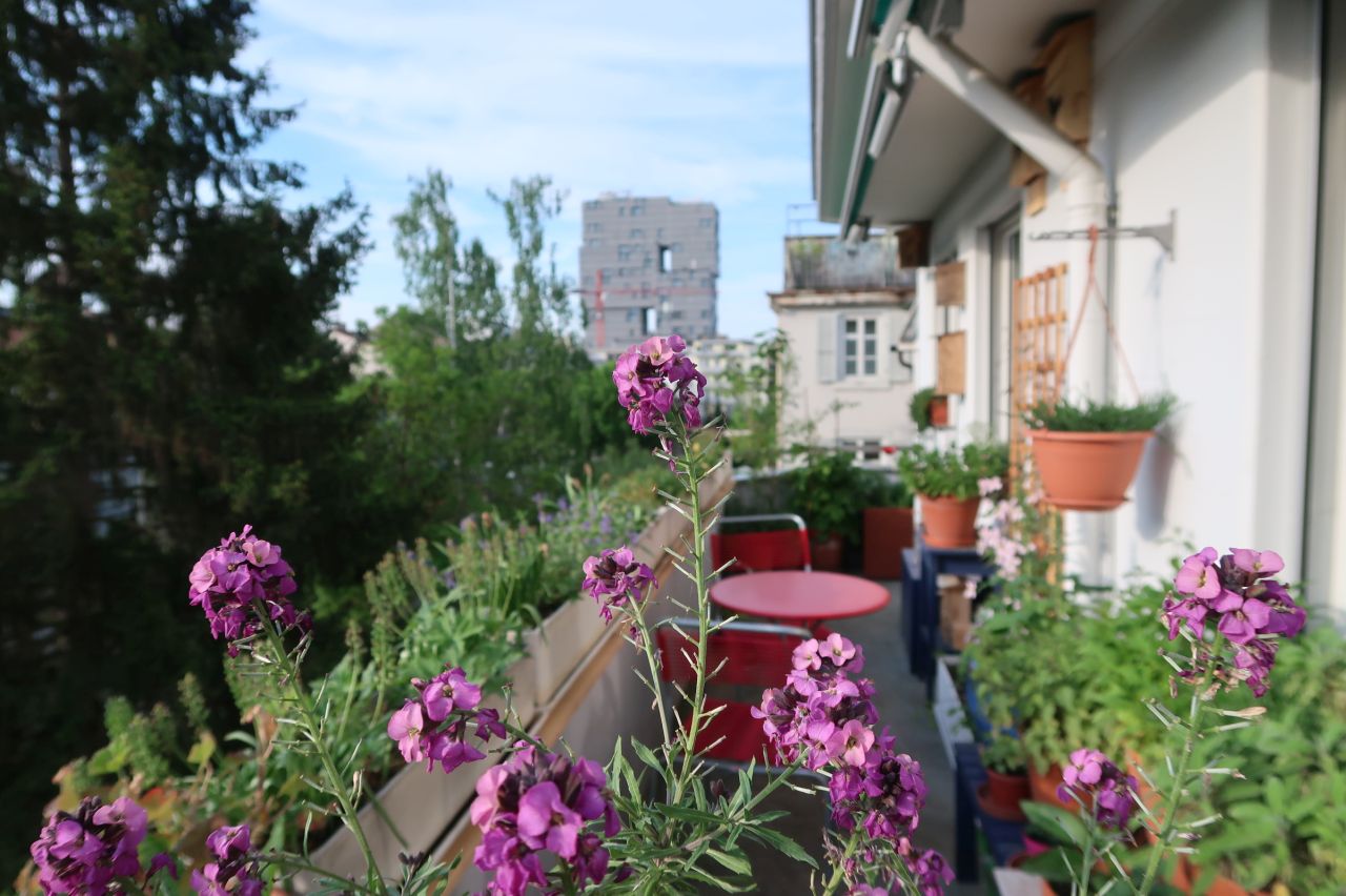 Begrünter Balkon mit Blumen und anderen Pflanzen.