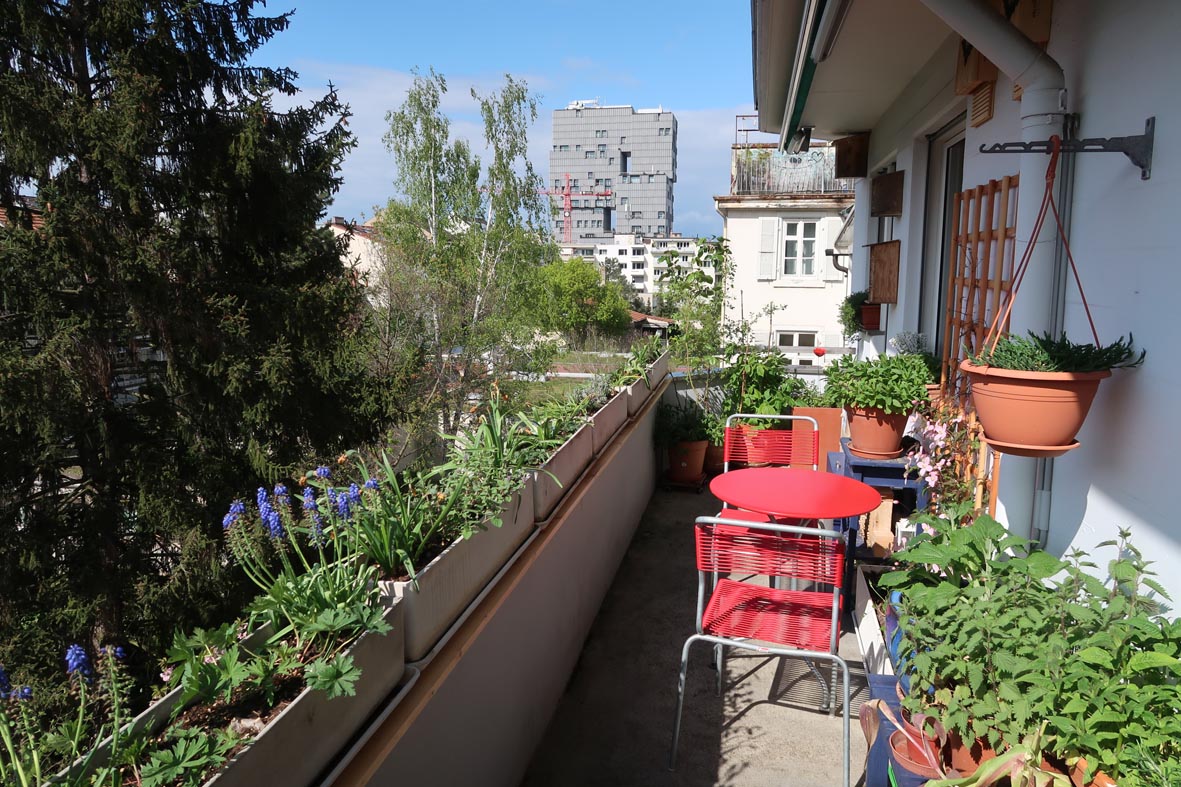 Naturnaher Balkon mit Pflanzentöpfen, Fassadenbegrünung und Nisthilfen