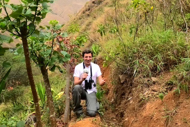 Wiederaufforstung im Süden Ecuadors