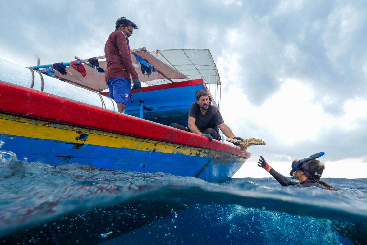 Aki gibt einem Taucher vom Schiff aus eine Koralle