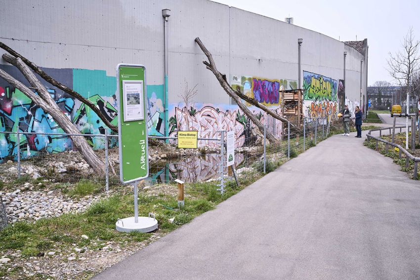 Am nördlichen Ende des Erlenmattplatzes hat «Grün her Schweiz» die erste Klimainsel angelegt.