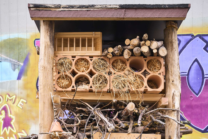 Rückzugort für verschieden Tierarten