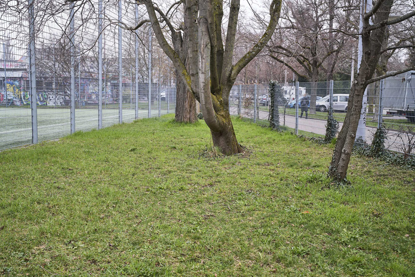 Neben der Sportanlage Schützenmatte soll das nächste Klima-Biotop entstehen.