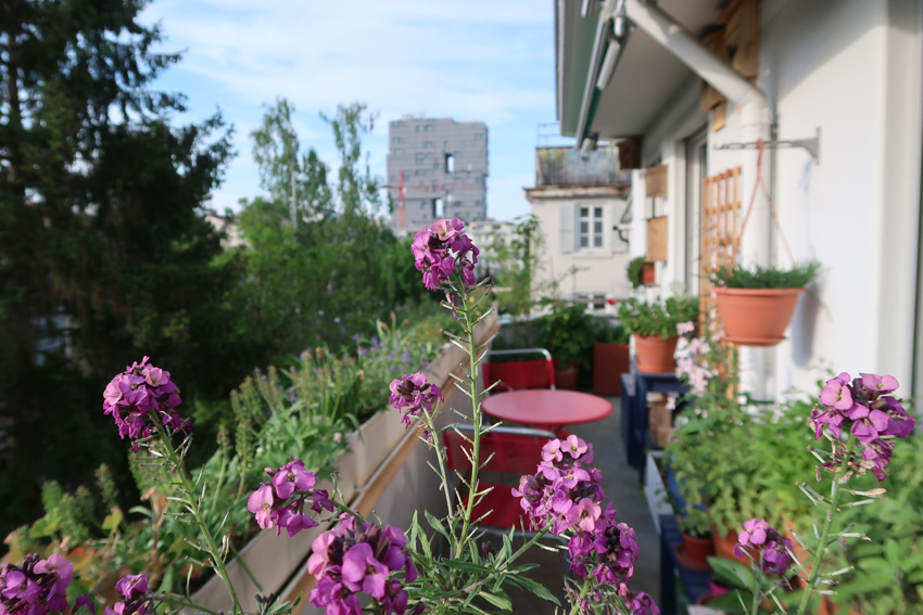 Biodiversität auf dem Balkon fördern
