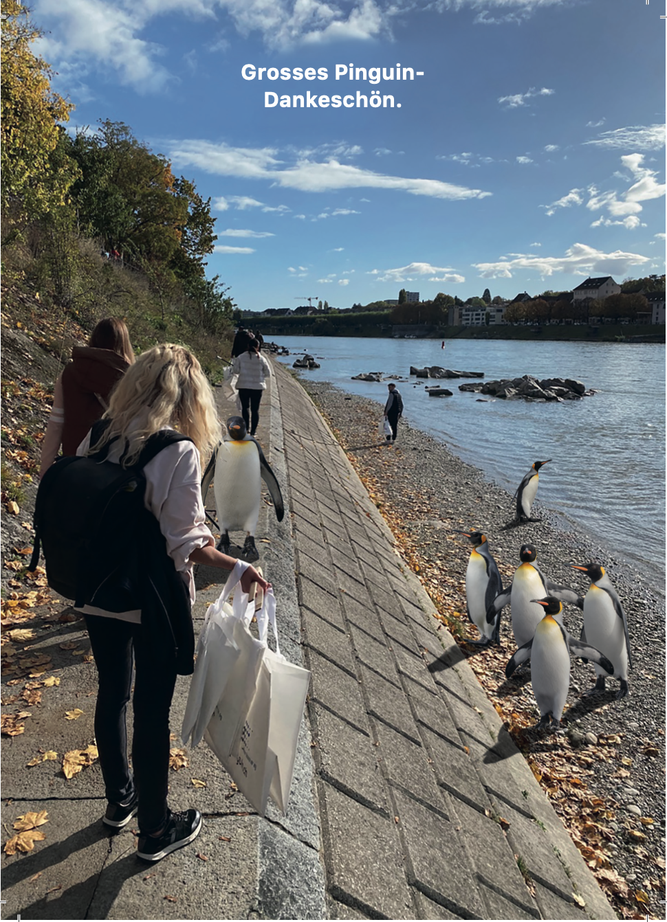 Fotomontage: Abfallsammlerinnen am Rheinbord mit Pinguinen am Ufer