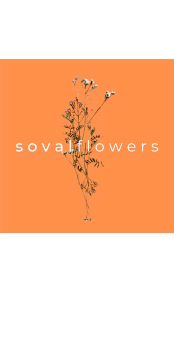 sovalflowers – Bioblumen für Events