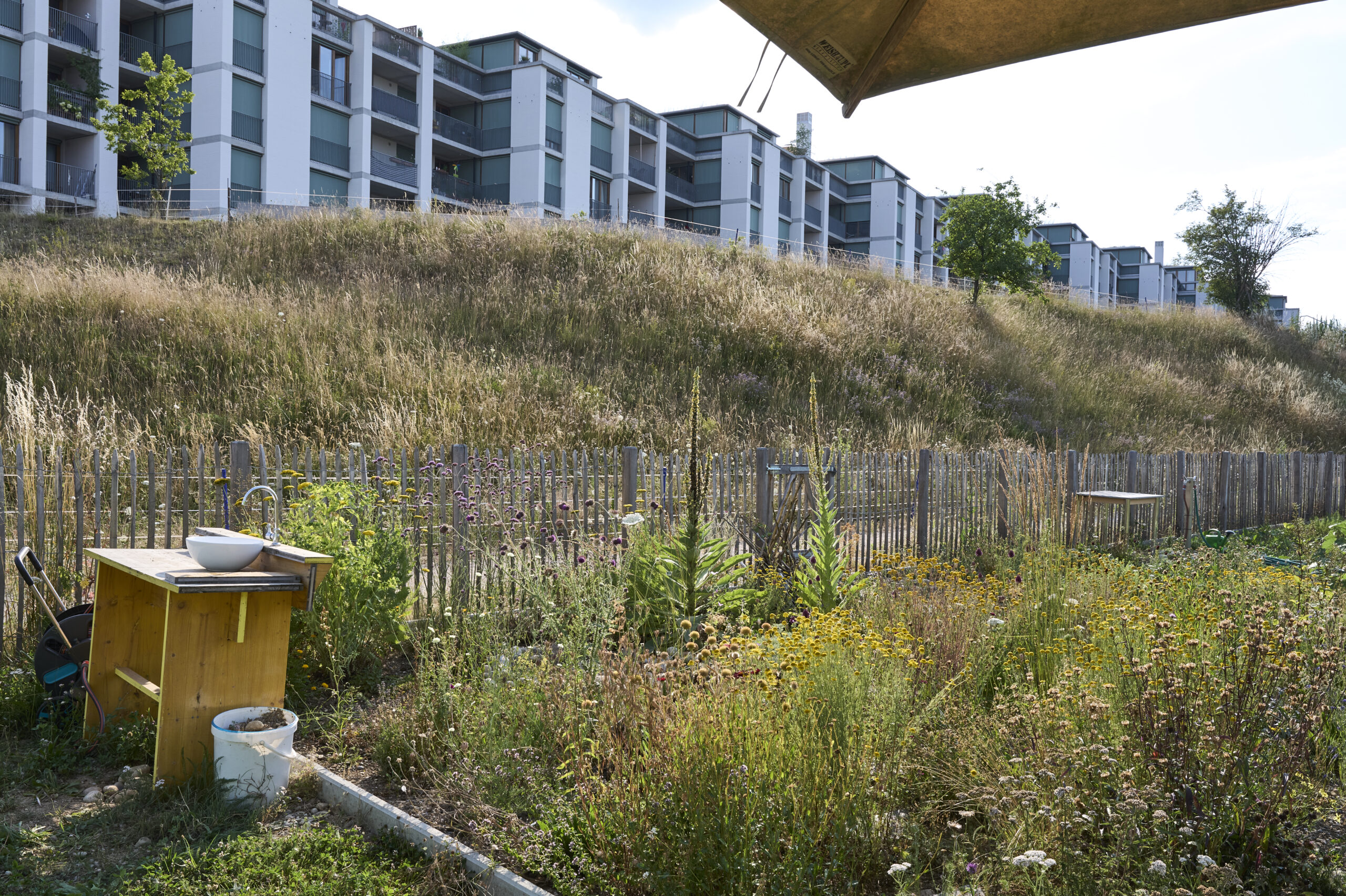 Gemeinschaftsgarten mit Wildblumen