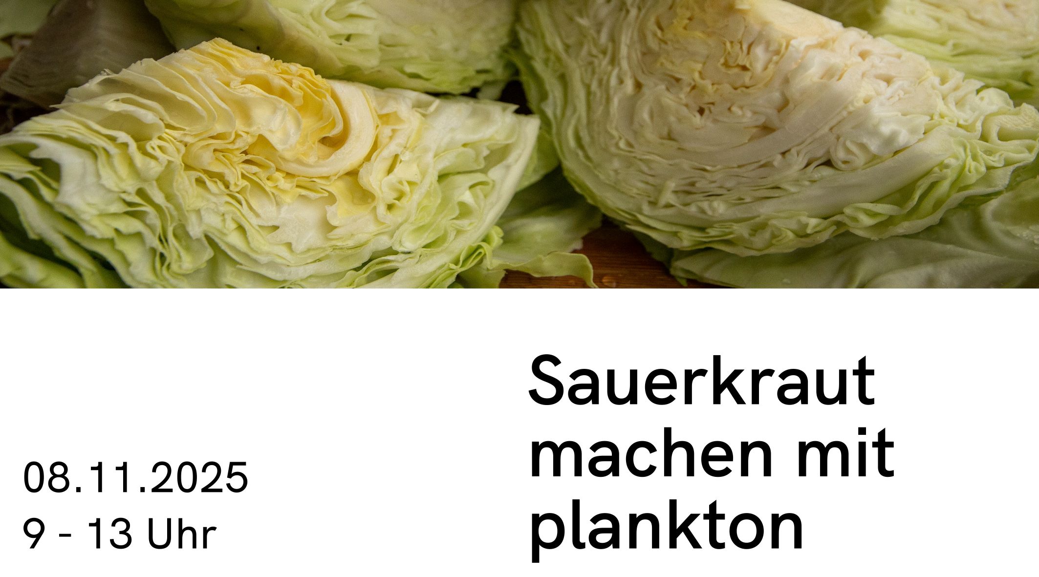Flyer: Sauerkraut machen mit Plankton
