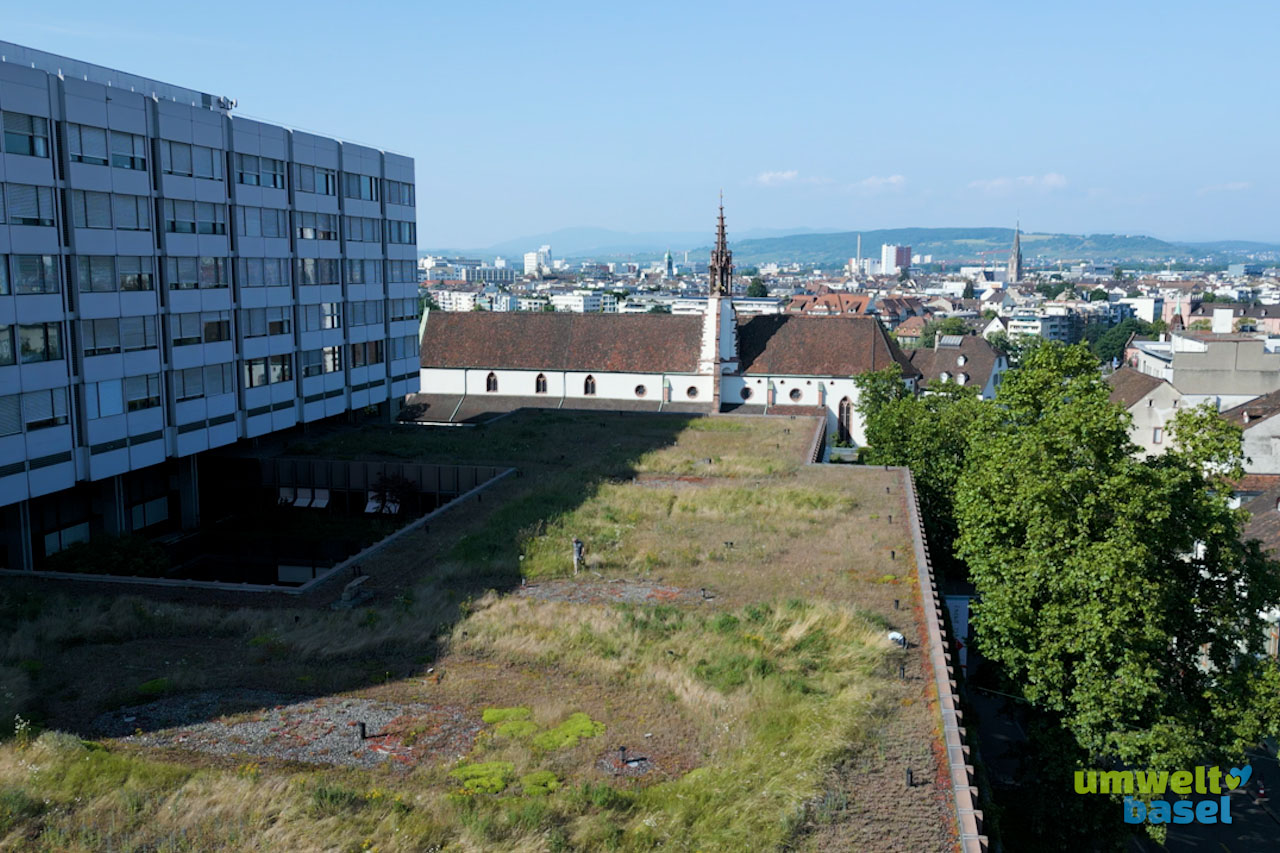 Eine Drohnenaufnahme von einer Dachbegrünung in Basel