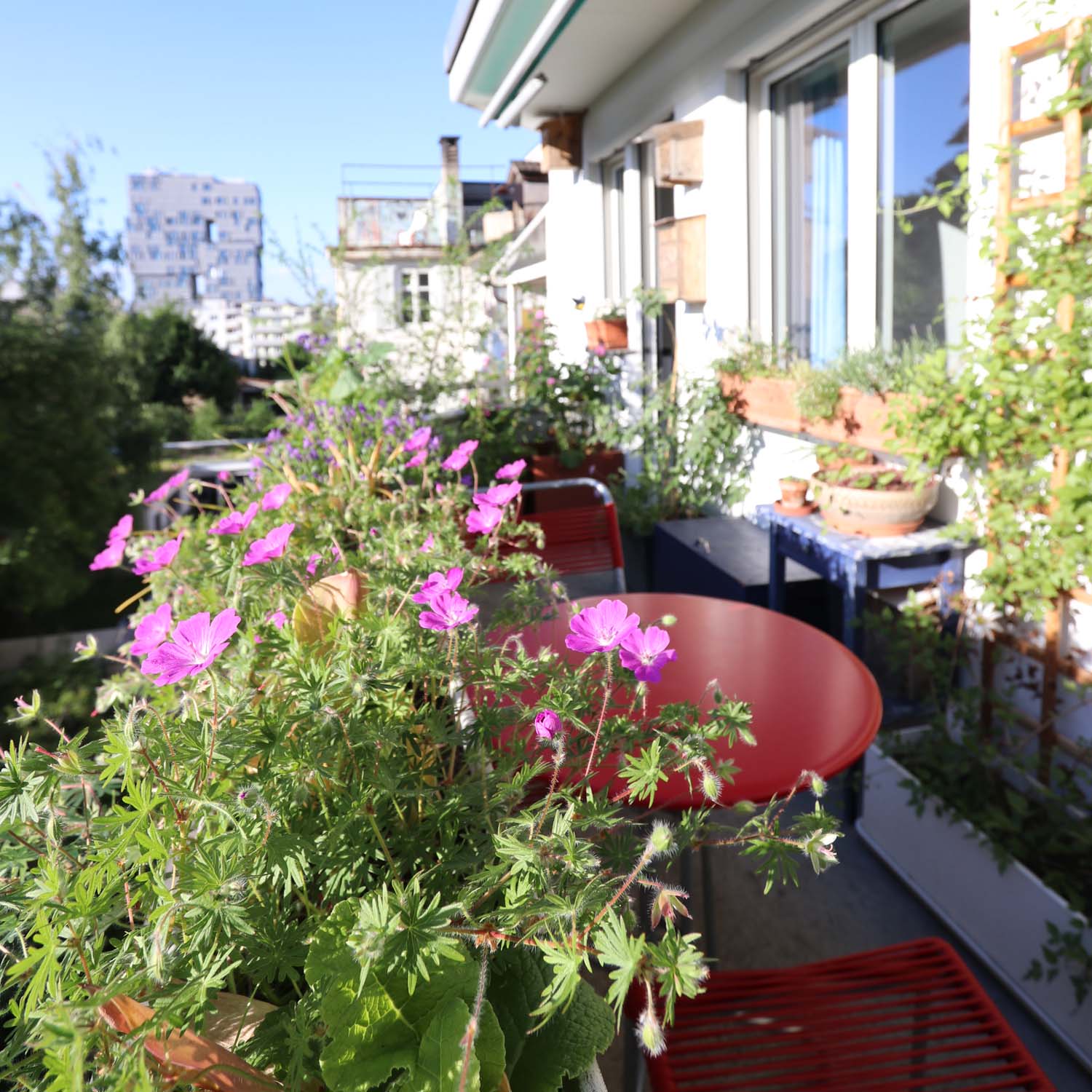 begrünter Balkon