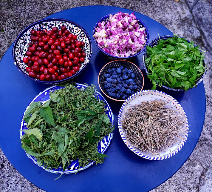 Sechs Schalen mit essbaren Wildpflanzen: Beeren, Blüten, Kräuter etc.