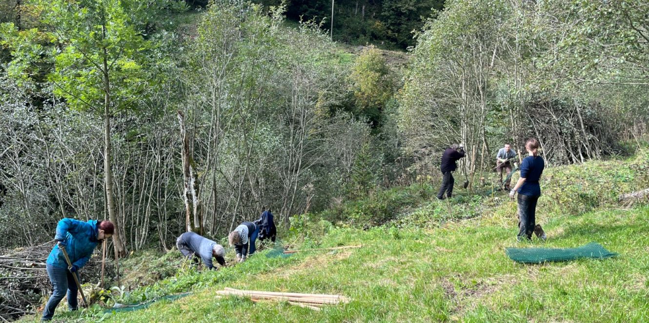 Eine Gruppe von Menschen bei der Arbeit in der Natur