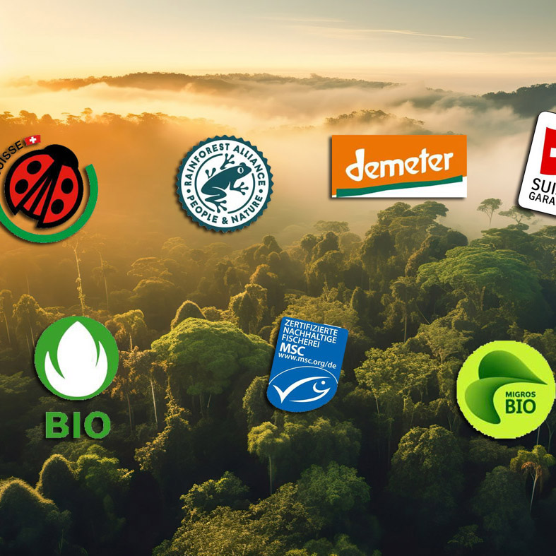 verschiedene Labels vor einem Dschungel-Hintergrundbild