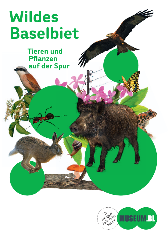 Fyler: Wilder Baselbiet – Tieren und Pflanzen auf der Spur