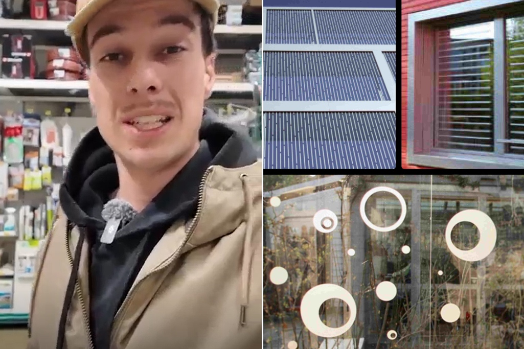 Links Luzius und rechts Einrichtungen an Gebäuden um Vögel zu schützen.