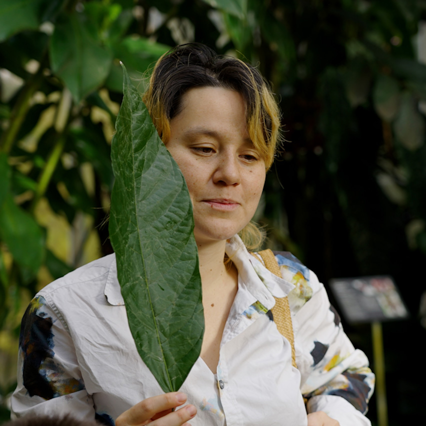 Ayaka Gütlin, Grüne Schule Basel