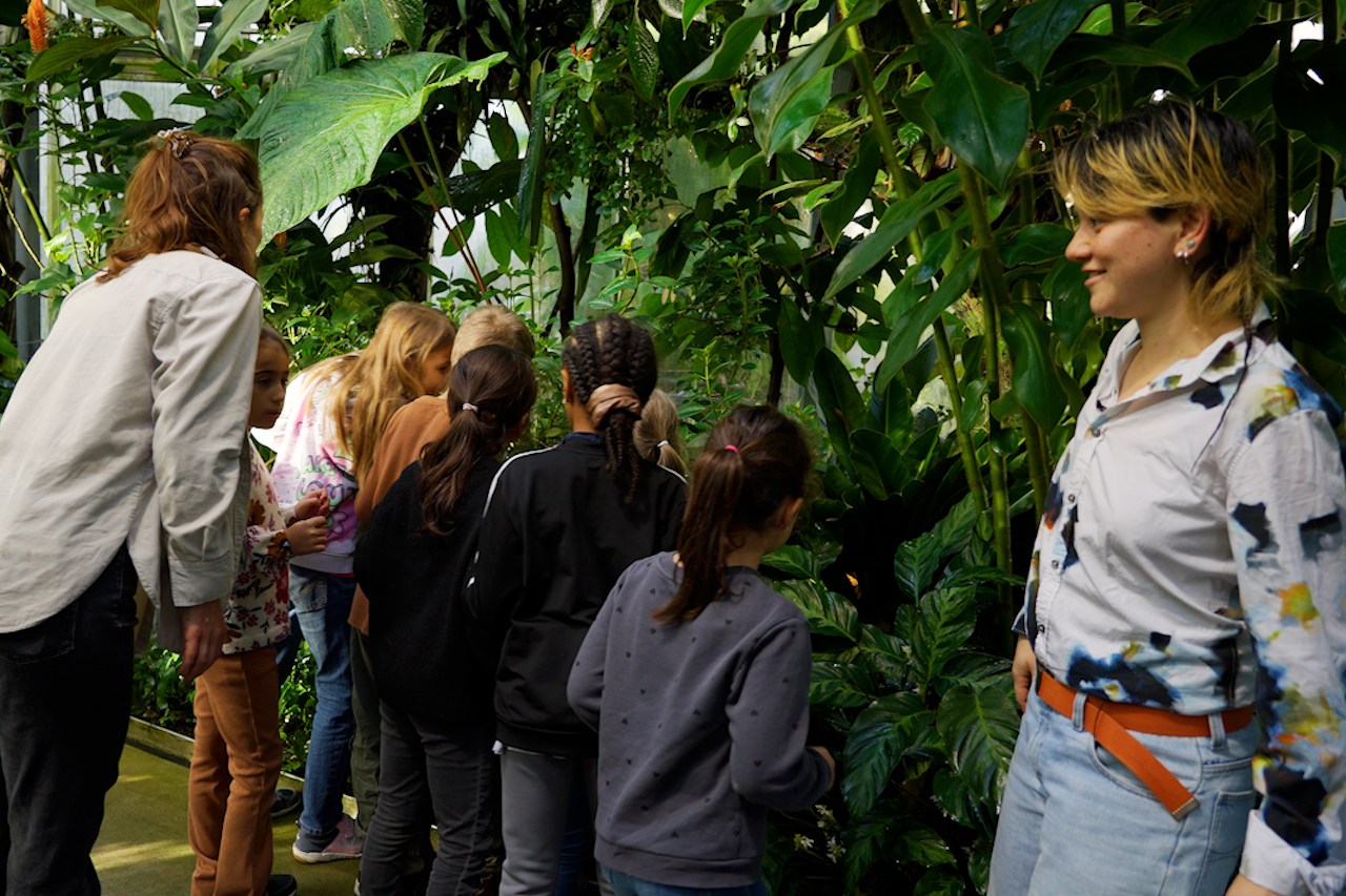 Die Kinder beobachten die Pflanzen im botanischen Garten.