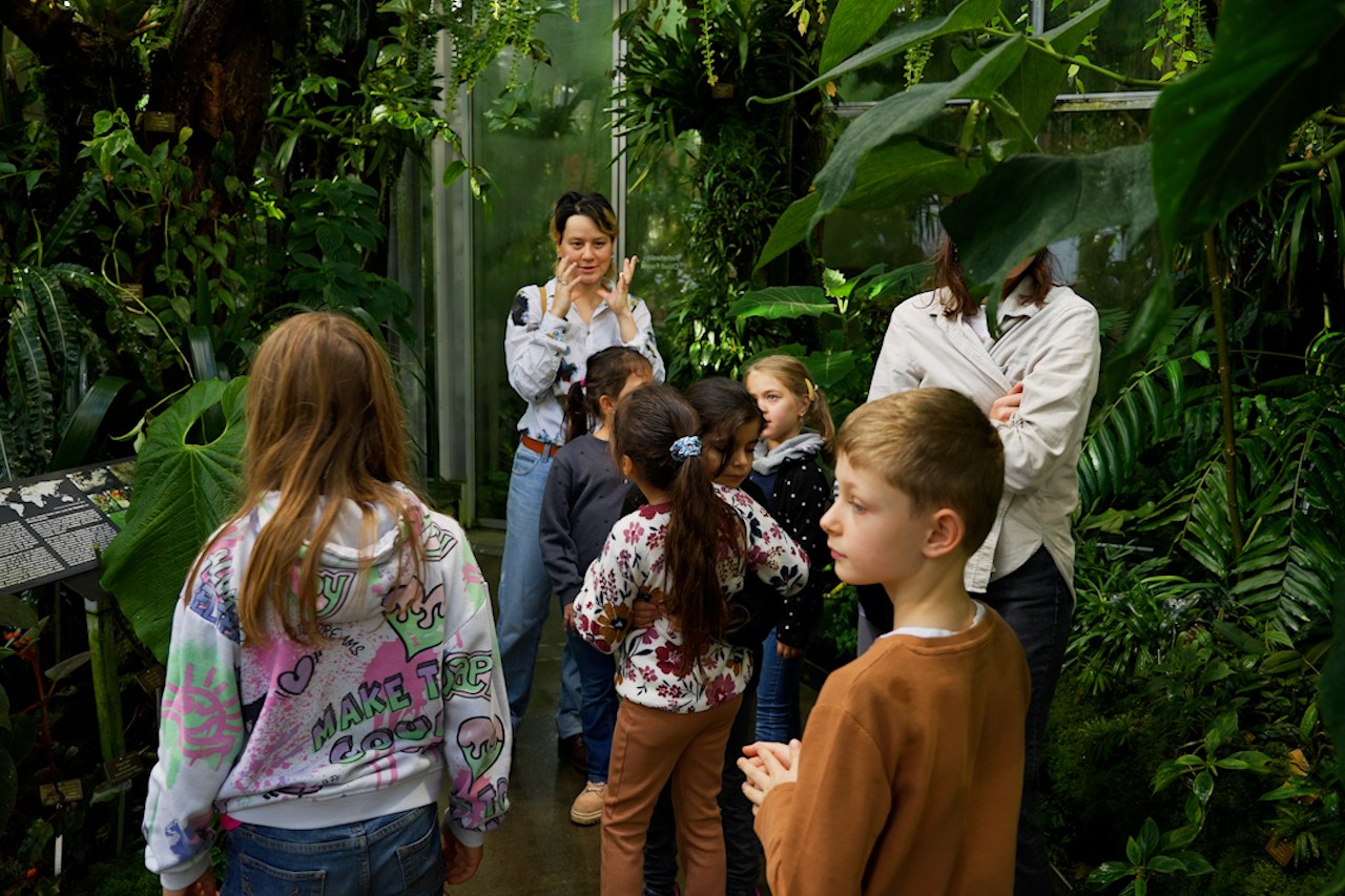 Die Kinder beobachten die Natur im botanischen Garten.