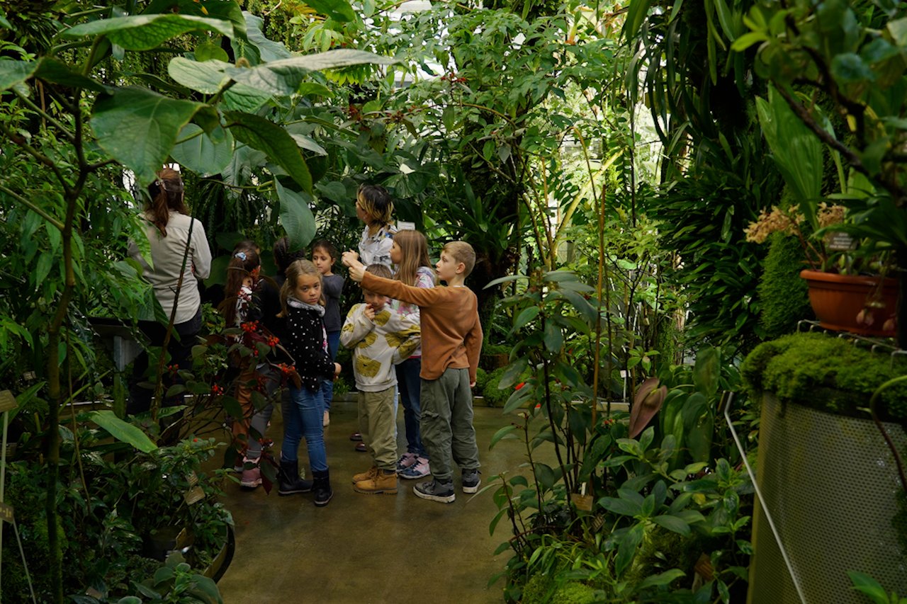 Die Kinder beobachten die Pflanzenvielfalt im botanischen Garten.