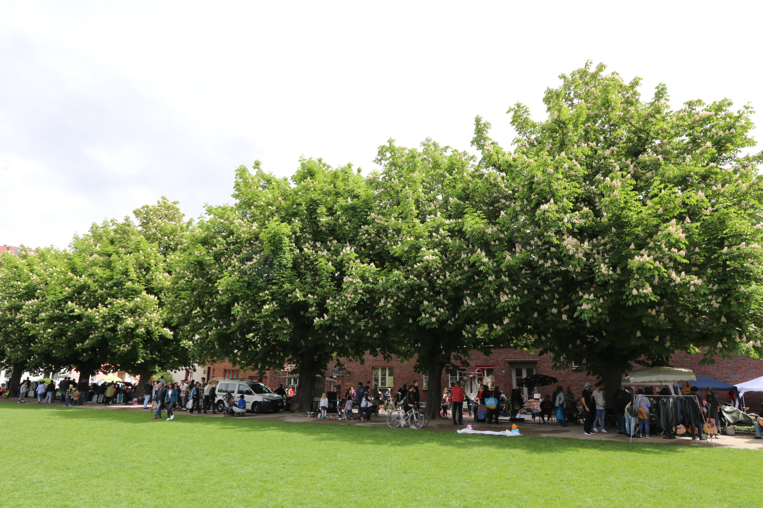 Quartierflohmarktstände unter Kastanienbäumen