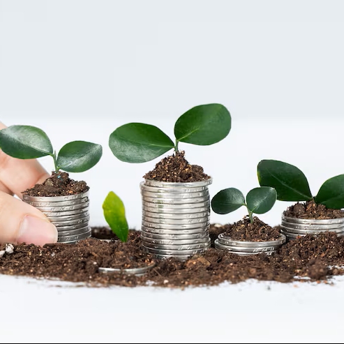 Winzige Pflanzen in Metallbehältern