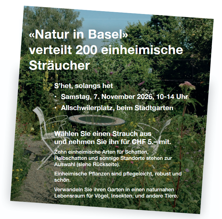 Ausschnitt aus Flyer: «Natur in Basel» verteilt 200 einheimische Sträucher